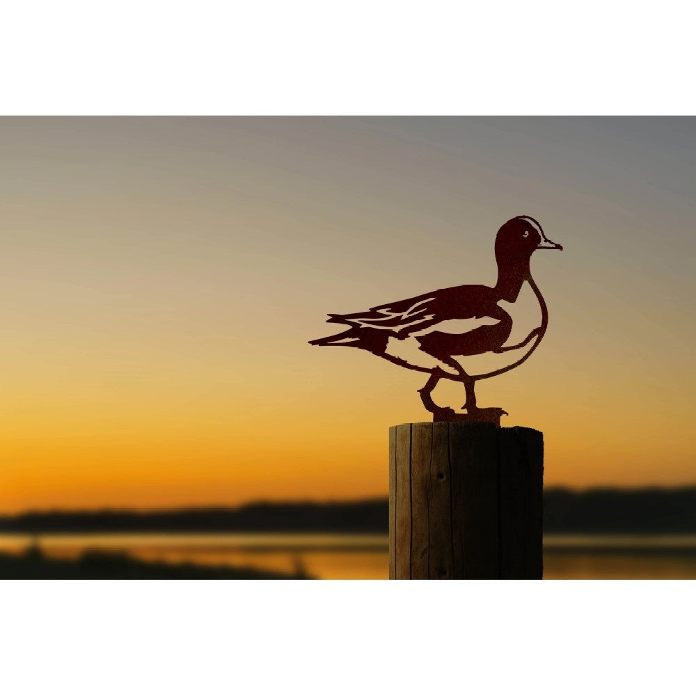 Bird silhouette Eurasian Wigeon