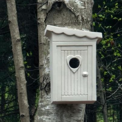 Vogelhuisje Schijtlijster