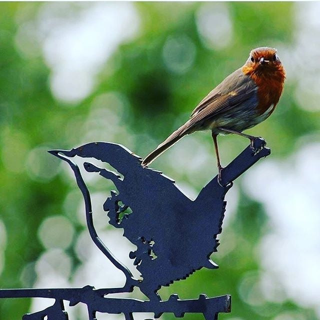 Bird Silhouette Wren