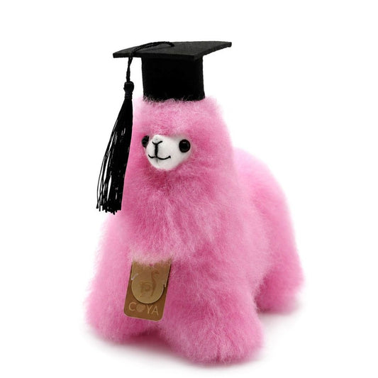 Alpaca Accessoires - Afgestudeerde