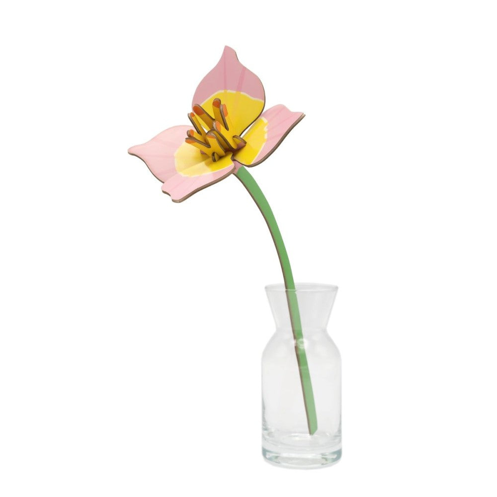Bloemen - Diverse Varianten