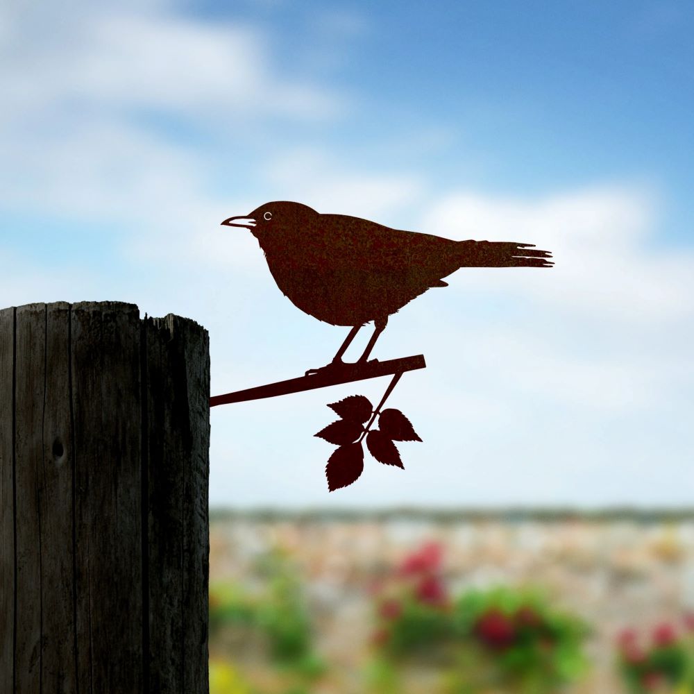 Bird Silhouette Blackbird