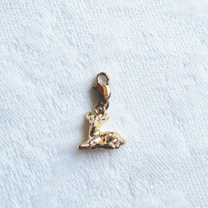 Hanger Charm - Diverse Varianten