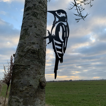 Actie Pakket 1 - Koolmezen, Grote Bonte Specht en Roodborstje