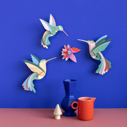 Dans van de Kolibries, set/3