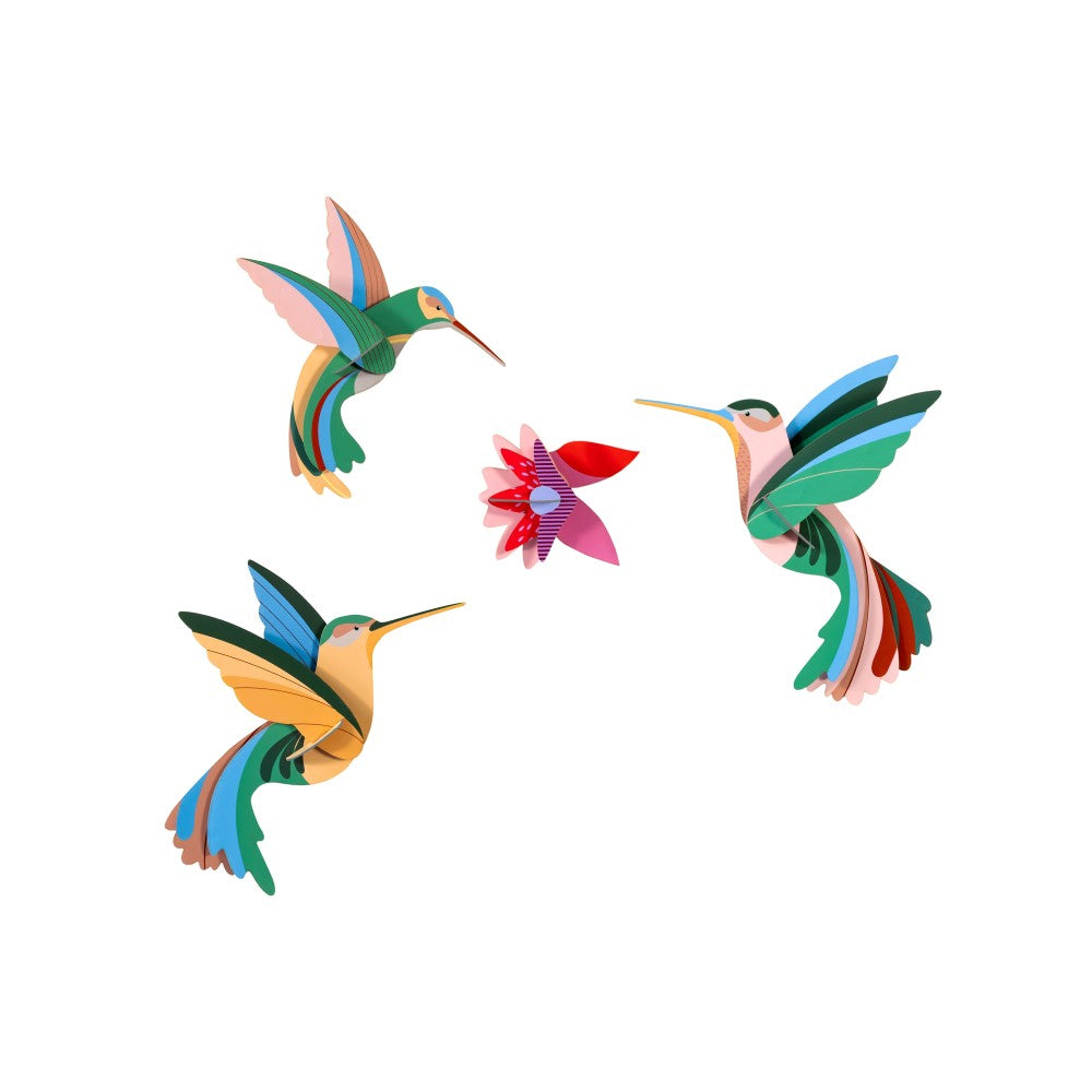 Dans van de Kolibries, set/3