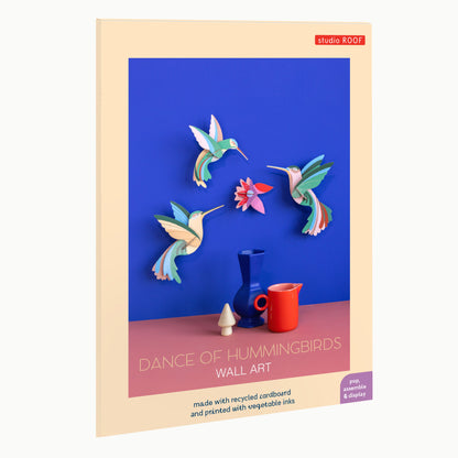 Dans van de Kolibries, set/3