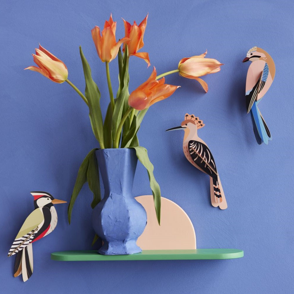 Birds; Jay
