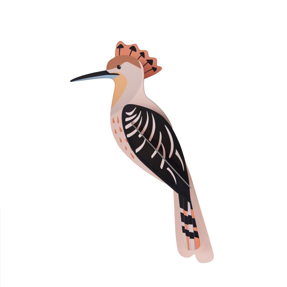 Birds; Jay