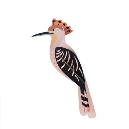 Birds; Jay