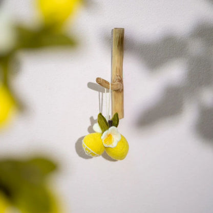 Hanger Citrus Set 3 st. - Diverse Varianten