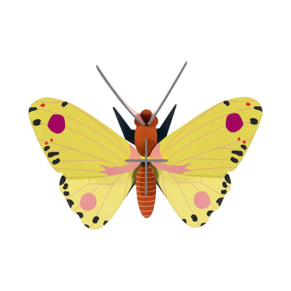 Butterfly Small - Various Variants