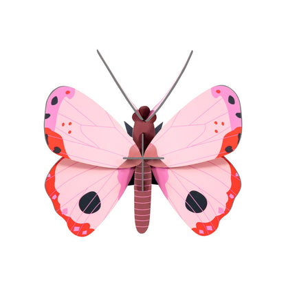 Butterfly Small - Various Variants