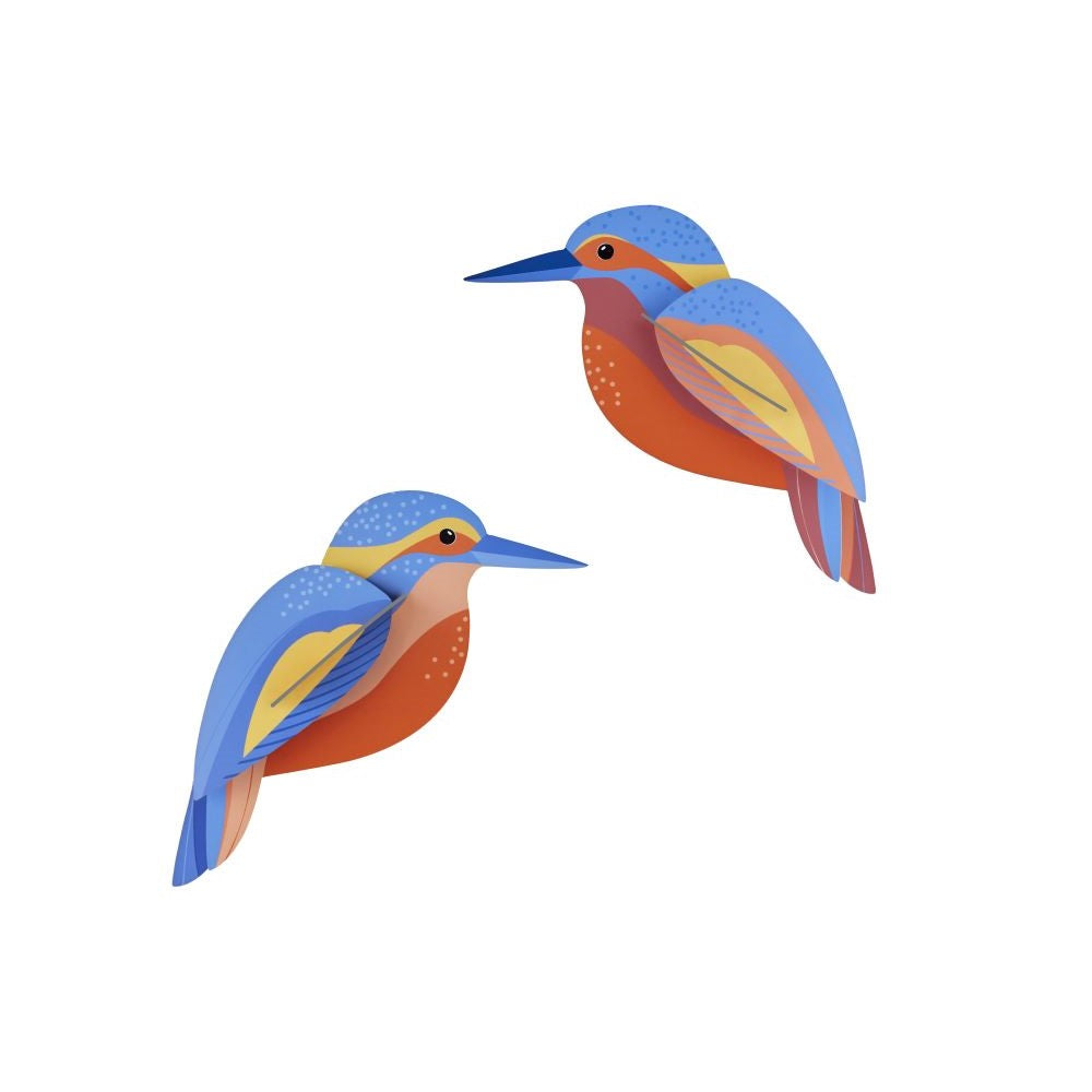 Vögel; Eisvögel