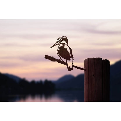 Bird Silhouette Kingfisher