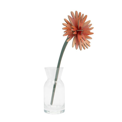 Bloemen - Diverse Varianten