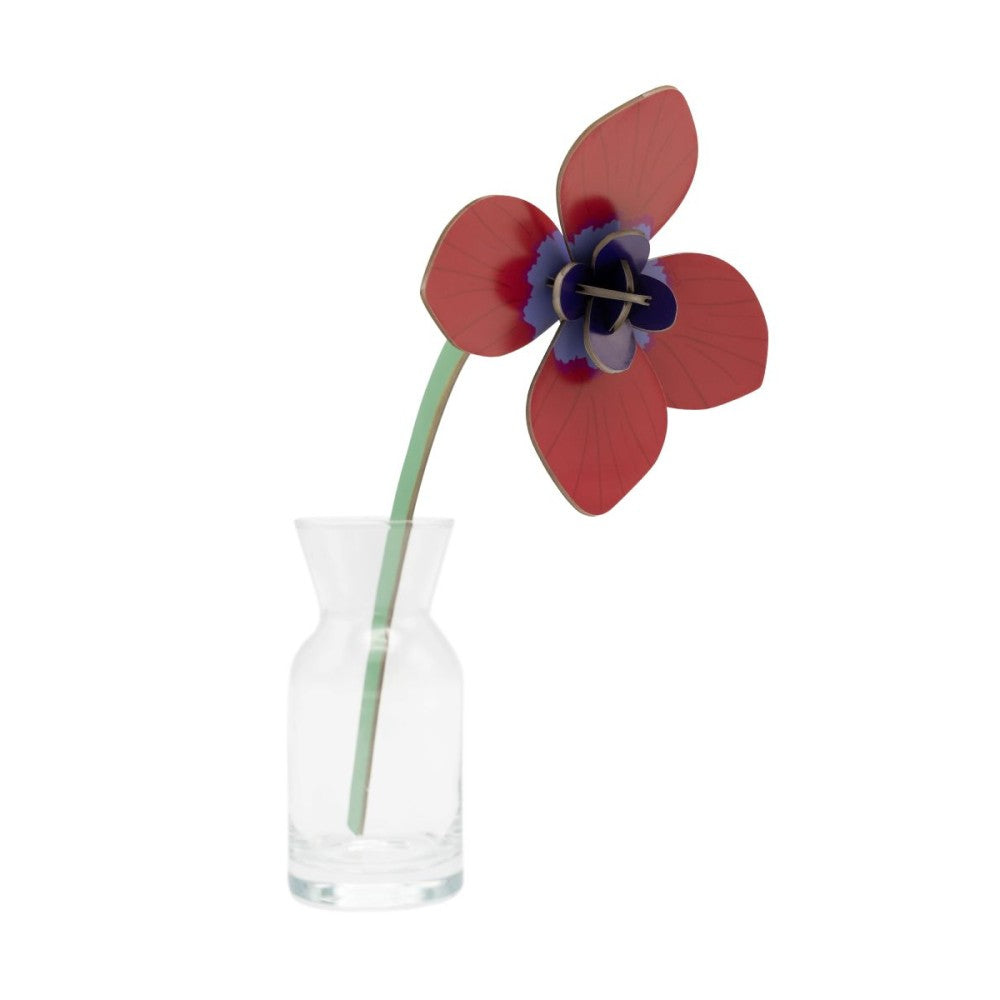Bloemen - Diverse Varianten