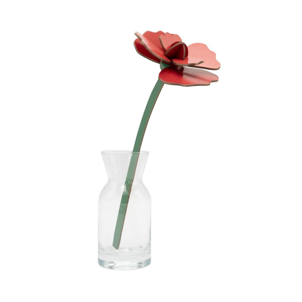 Bloemen - Diverse Varianten