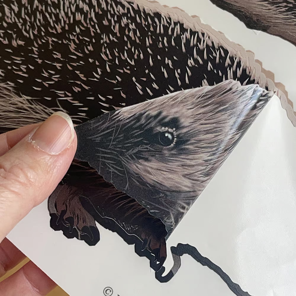 Raamsticker Bosdieren - Diverse Varianten