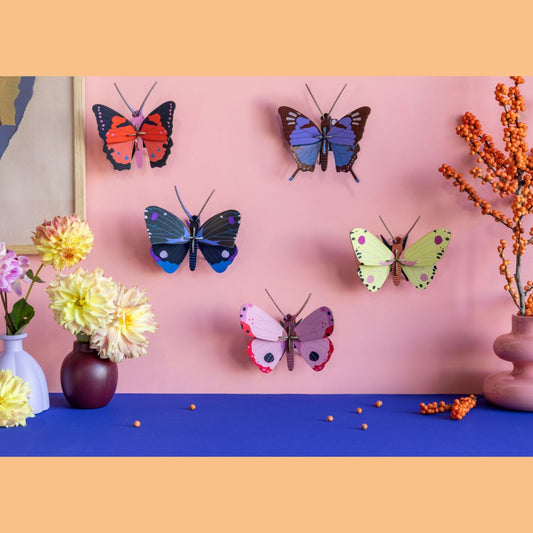 Schmetterling klein - Verschiedene Varianten