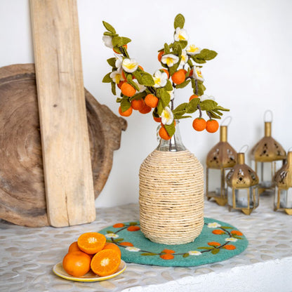 Tak Citrus - Diverse Varianten