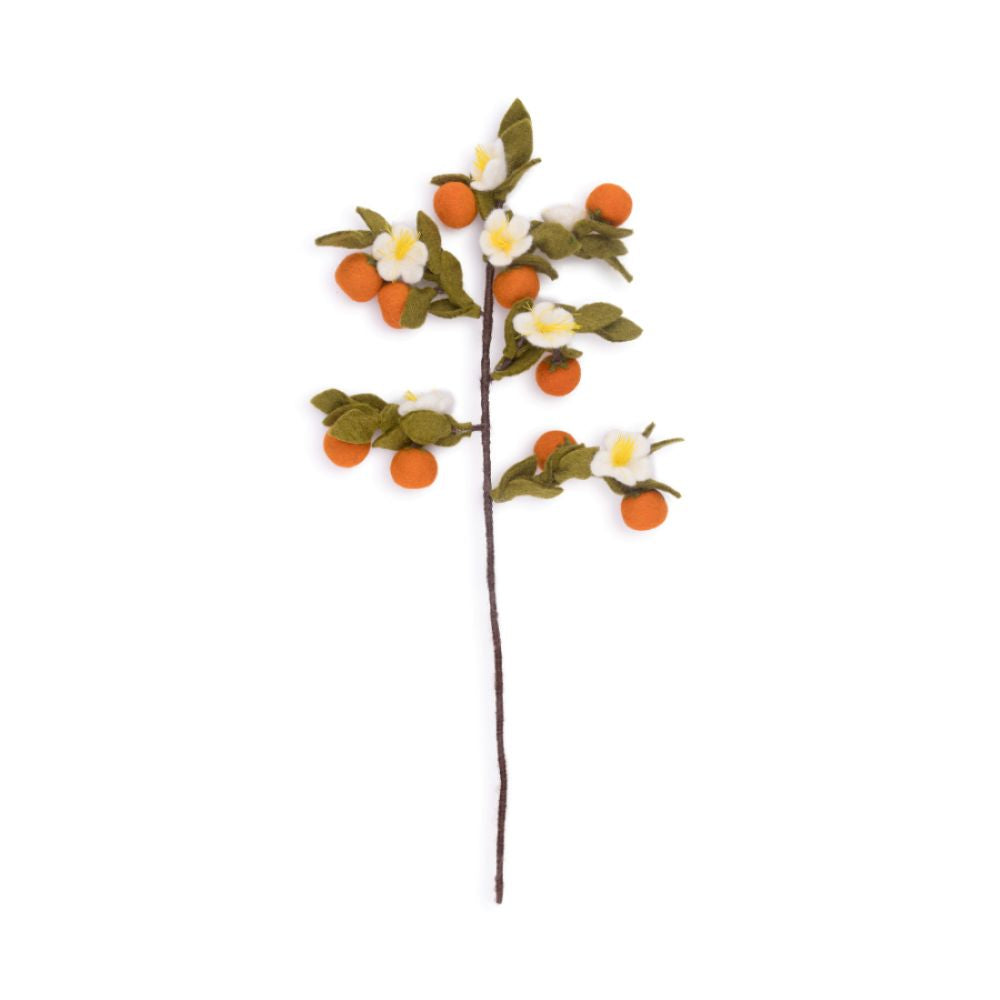 Tak Citrus - Diverse Varianten