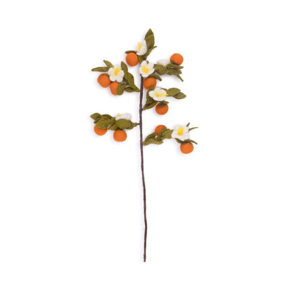 Tak Citrus - Diverse Varianten