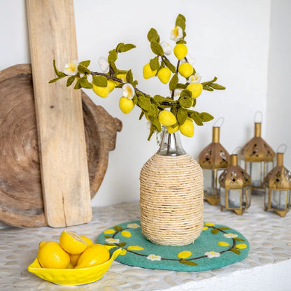 Tak Citrus - Diverse Varianten