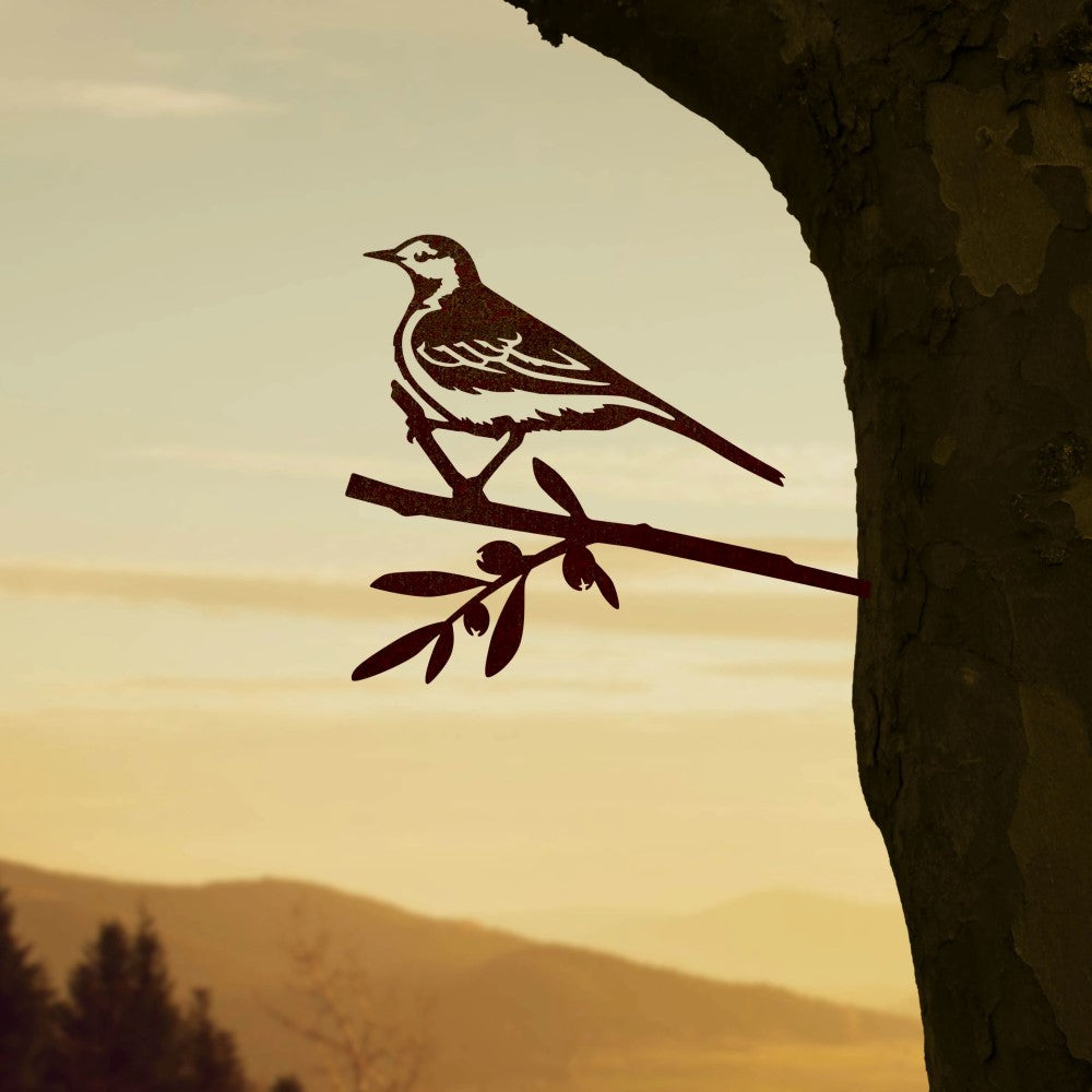 Vogelsilhouette Bachstelze