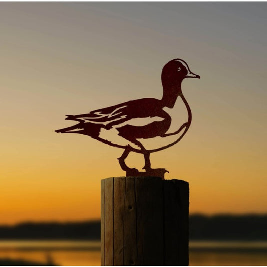 Bird silhouette Eurasian Wigeon