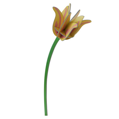 Bloem - Diverse Varianten