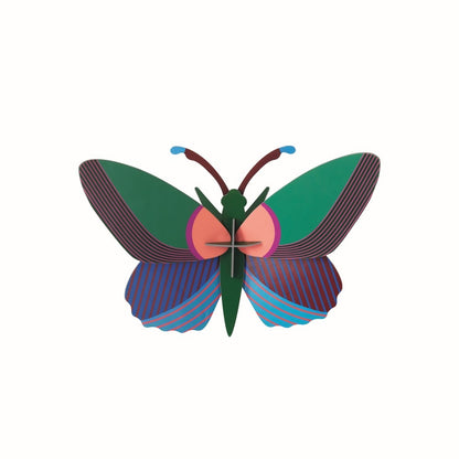 Butterfly Medium - Various Variants