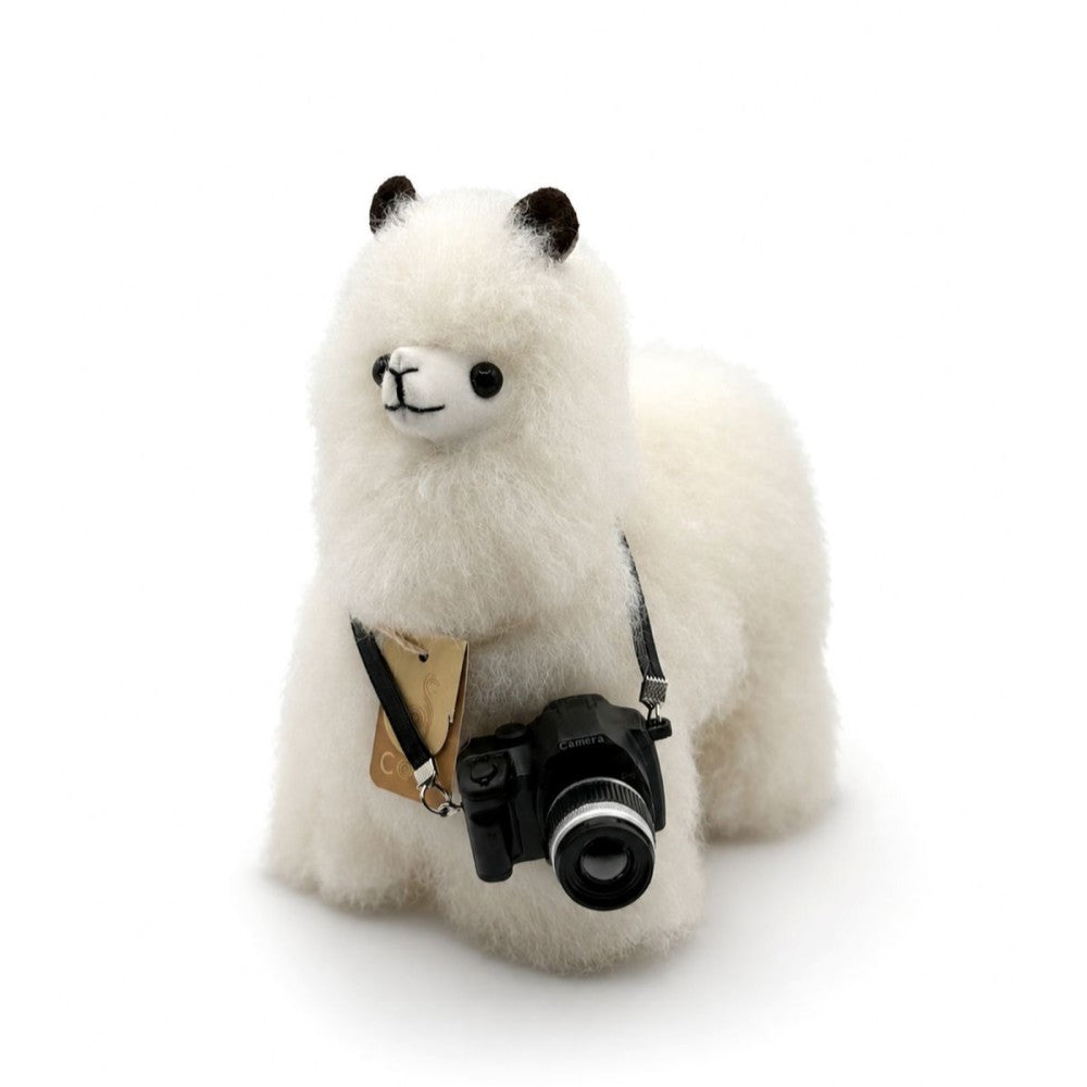 Alpaca Accessoires - Camera
