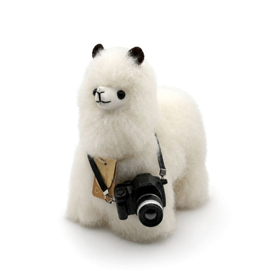 Alpaca Accessoires - Camera