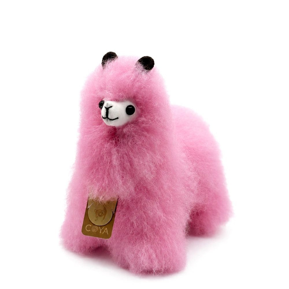 Alpaca - Blushroze