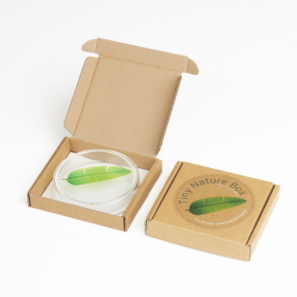 Tiny Nature Box - Diverse Varianten