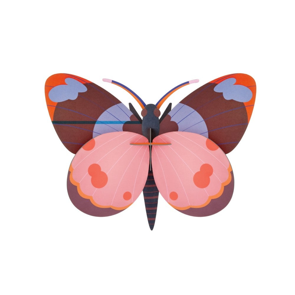 Butterfly Medium - Various Variants