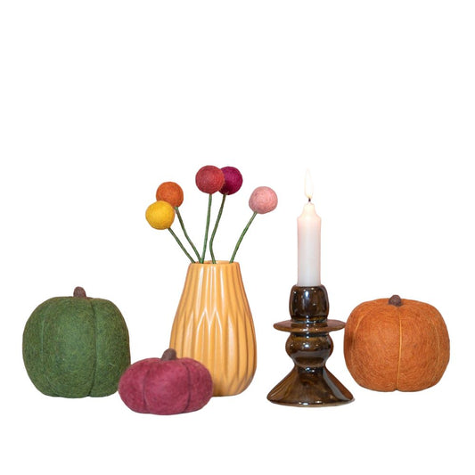Craspedia's Herfsttinten 5 st.