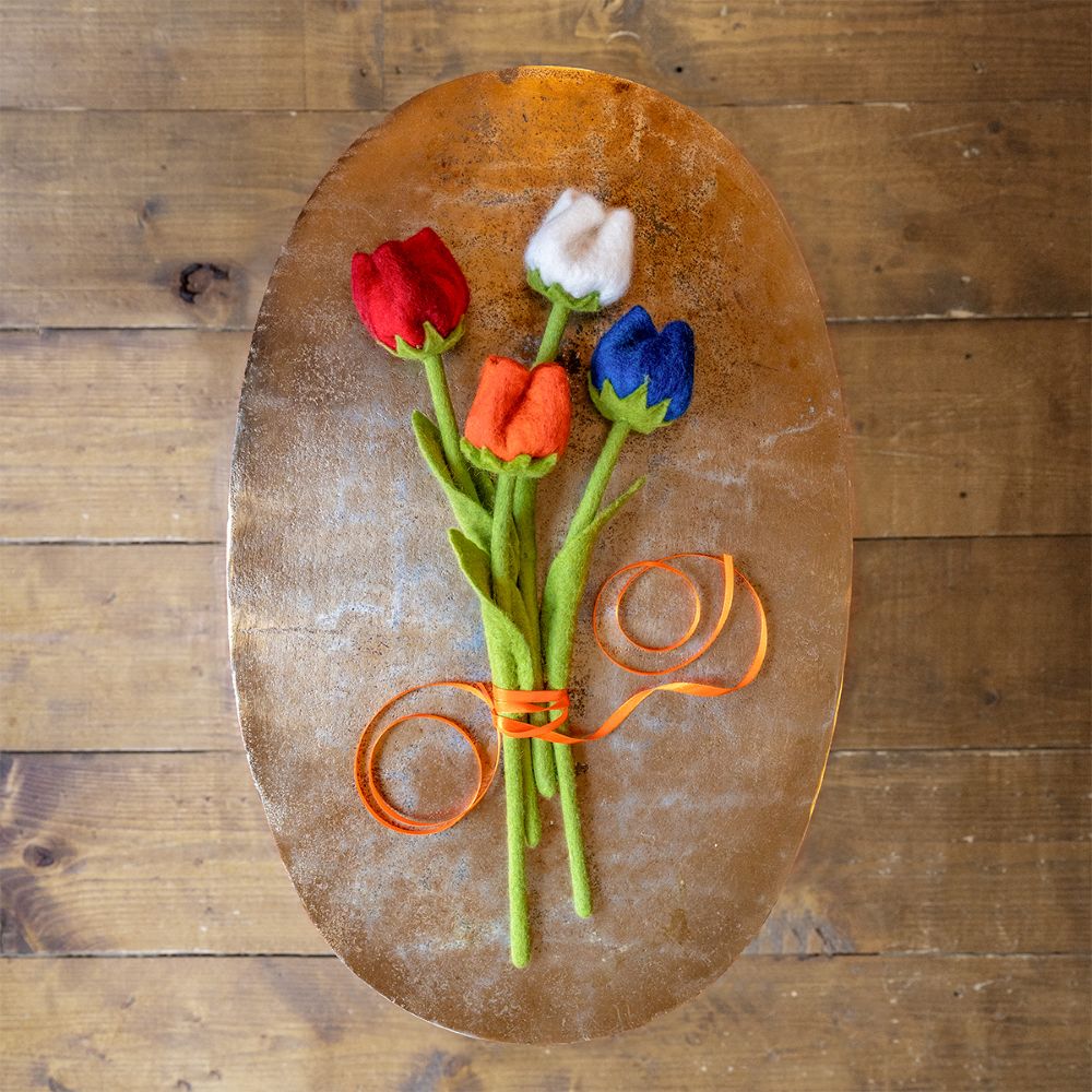 Tulp Wolvilt - Diverse Multicolors