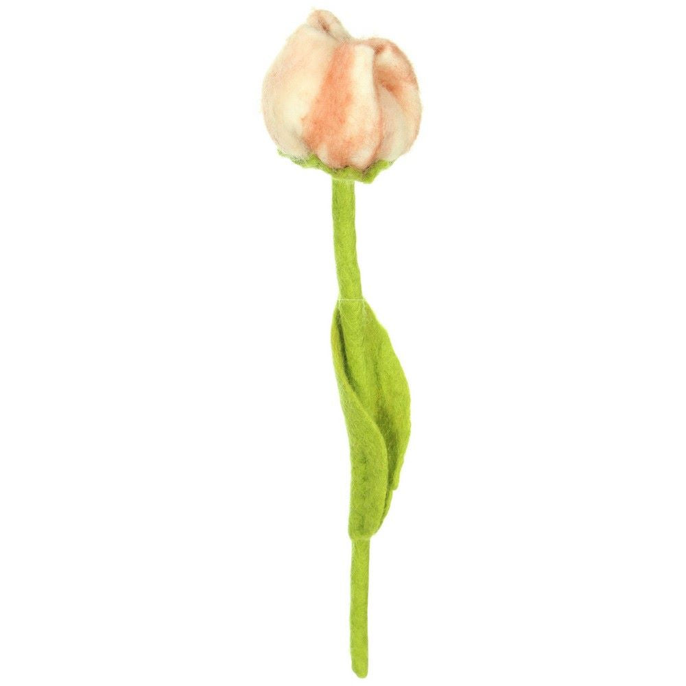 Tulp Wolvilt - Diverse Soft Colors
