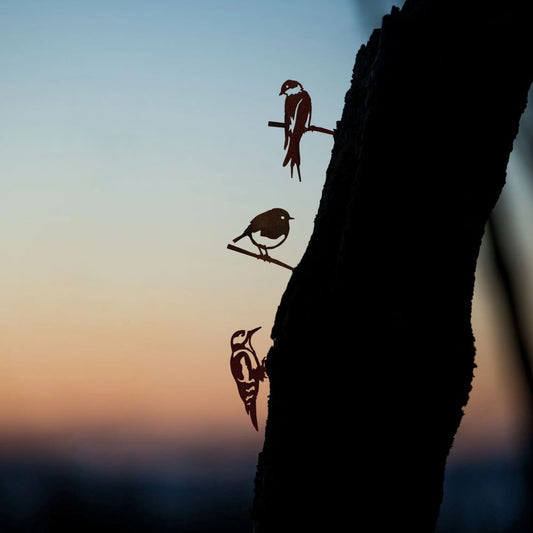 Set Mini Birds - Roodborstje Specht Zwaluw