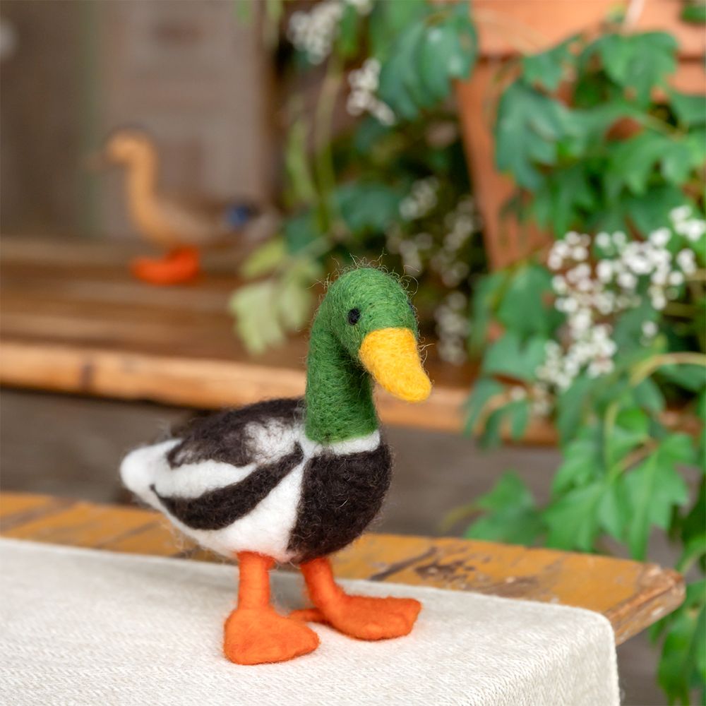 Decoratie Eend - Diverse Varianten