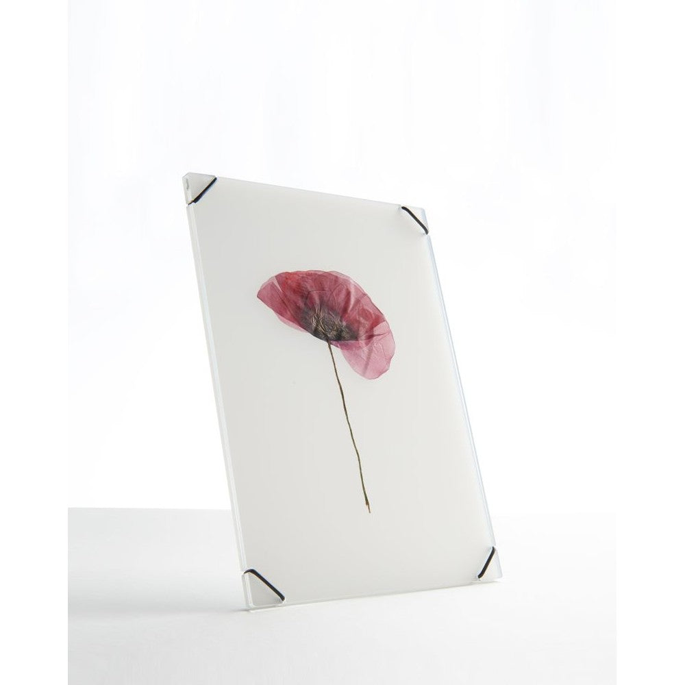 FlowerFrame Medium transparante fotolijst voor bloemen en bladeren met minimalistisch zwevend design.