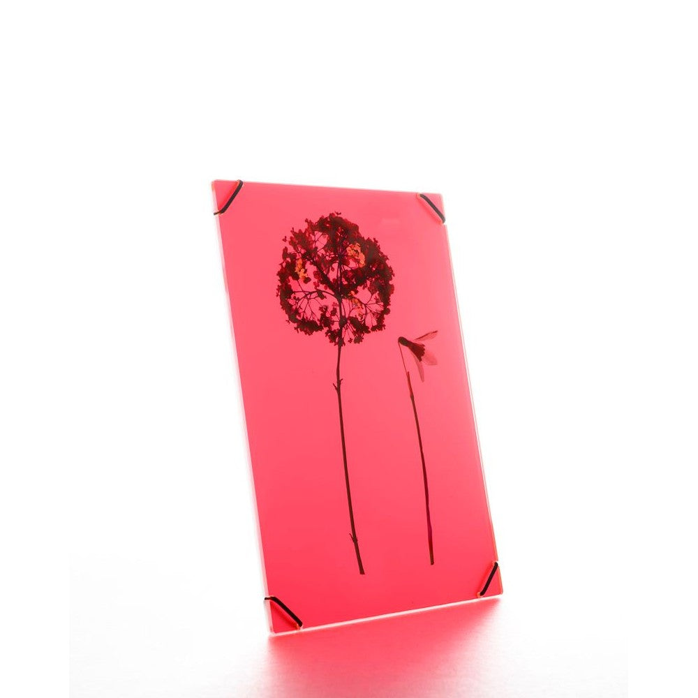 FlowerFrame Medium neon pink fotolijst met bloem, modern zwevend ontwerp