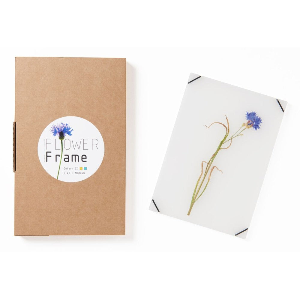 FlowerFrame Medium transparante lijst voor gedroogde bloemen of bladeren met verpakking
