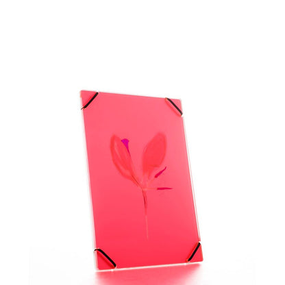 FlowerFrame Small neon pink fotolijsten met bloemen en bladeren in raamkozijn, zwevend effect en modern design