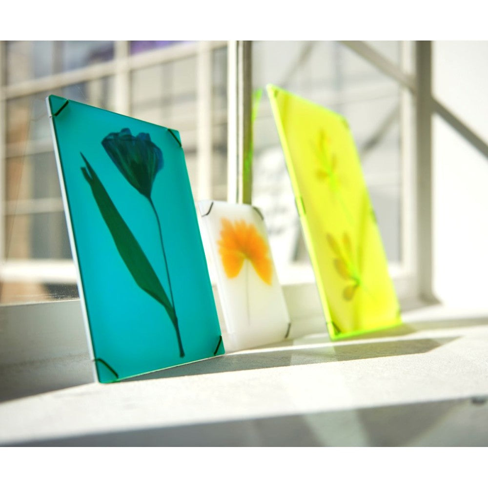 FlowerFrame Medium en Small fotolijsten met bloemen voor raamkozijn, zwevend design, lichtinval en transparant effect