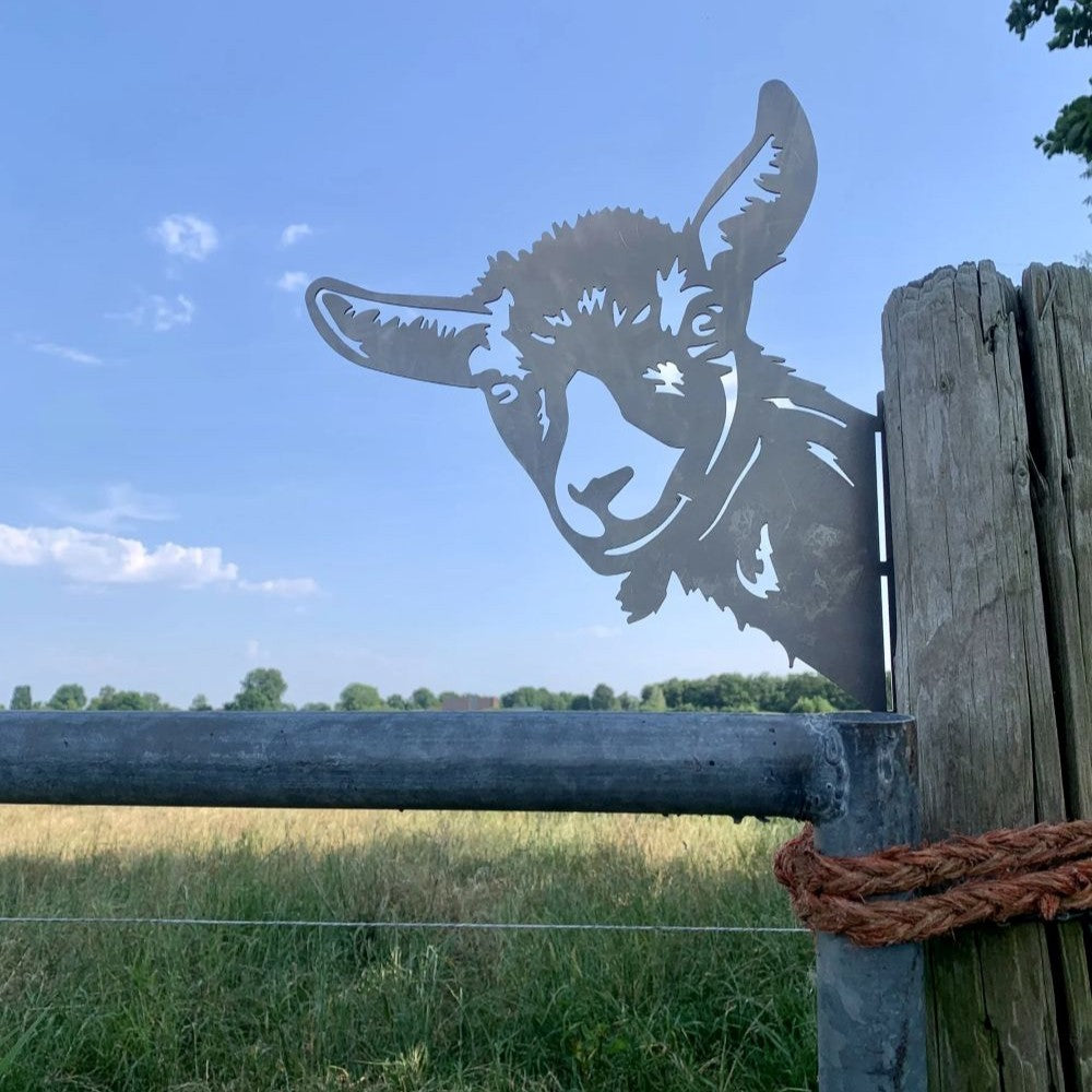 Boerderij Dieren - Diverse Varianten