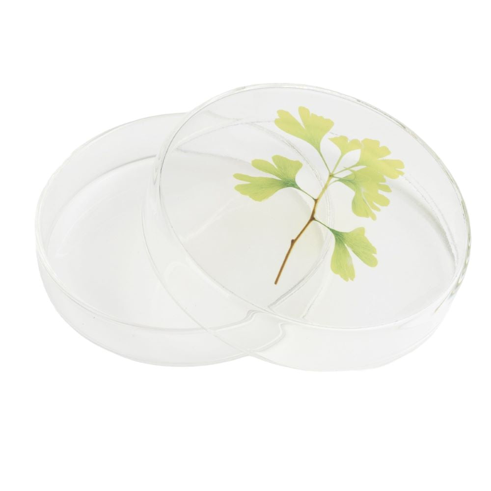 Tiny Nature Box - Diverse Varianten