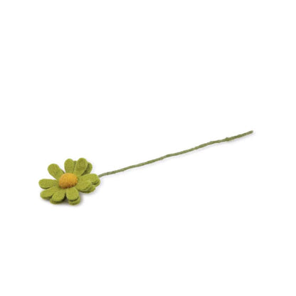 Margrietje Wolvilt - Diverse Kleuren